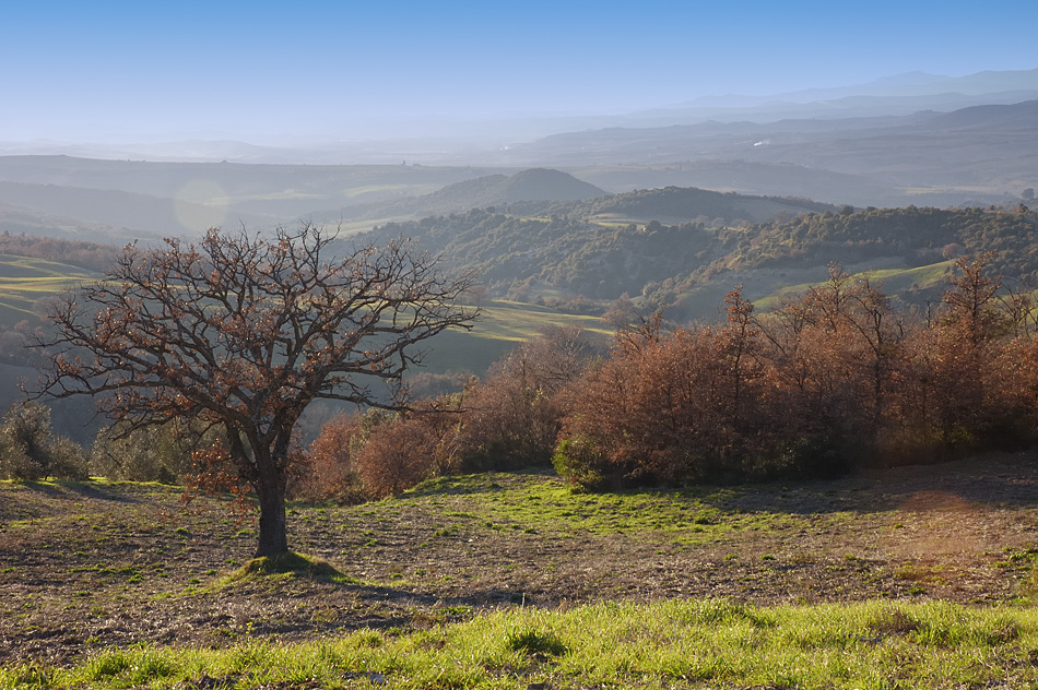 La Val d'Orcia