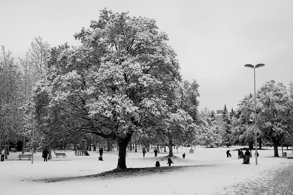 Neve al parco
