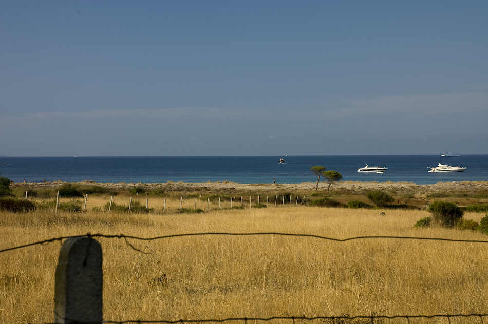Il mare tra i campi sardi