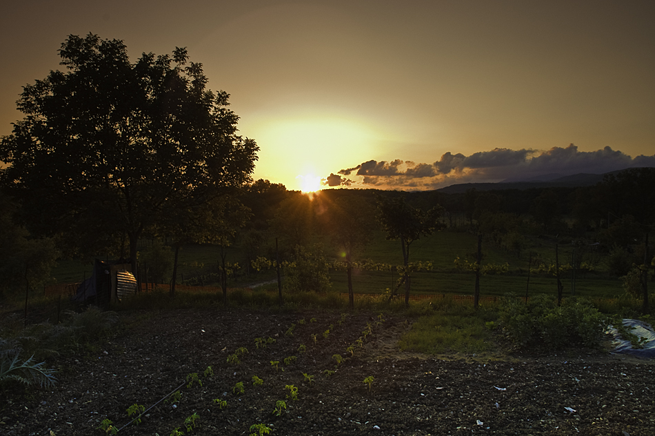 Tramonto sull'orto
