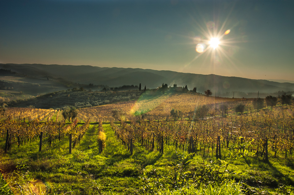 Tramonto a Panzano in Chianti